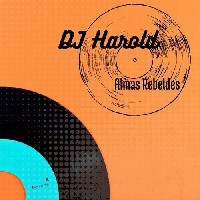  中场TechHouse Edm Techno Acid Techno多元素实战铺垫思路套曲 128-140 (23首, 0.36GB)封面