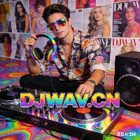 谢天华 - 细味(怀集Dj珈珈 Disco 2024 Mix粤语男) 